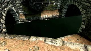 Cool Skyrim Water Bug