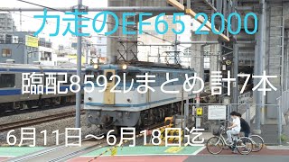 力走のEF65 2000臨配8592レまとめ!第2弾 6月11日~6月18日迄7本