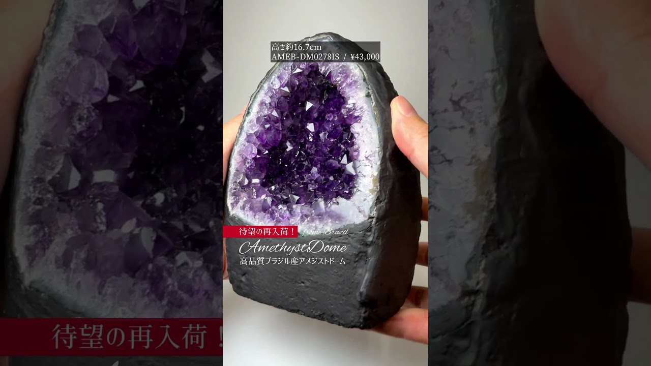 6/16新着情報☆【海外直接買い付け】諦めずに探し求めた高品質