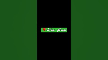 #تلاوة_هادئة #تلاوة_خاشعة #اسلام_صبحي #إسلام_صبحي #سورة_المؤمنون #خواتيم_سورة_المؤمنون #قرآن_كريم