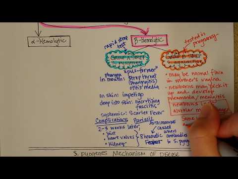 וִידֵאוֹ: האם streptococcus sanguinis בטא המוליטי?