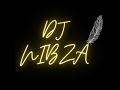 Private School Selection Vol.1 Amapiano Mix by DJ NIBZA