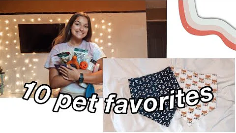 my top 10 favorite pet products | Ella Lappin