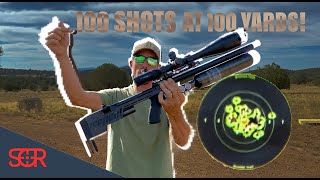 100 SHOTS 100 YARDS! NO FLYERS!... almost ;) RTI Prophet 22 cal