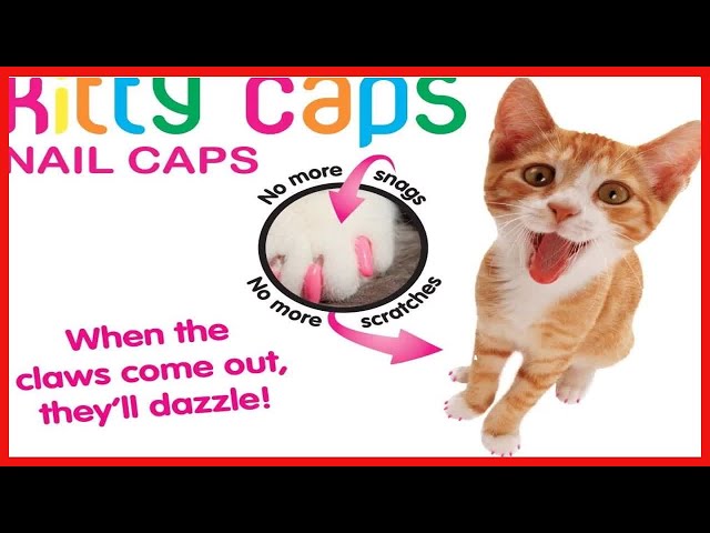 Kitty Caps Declawing Nail Caps for Cats, Large (13 lbs or greater),  Multi-color 