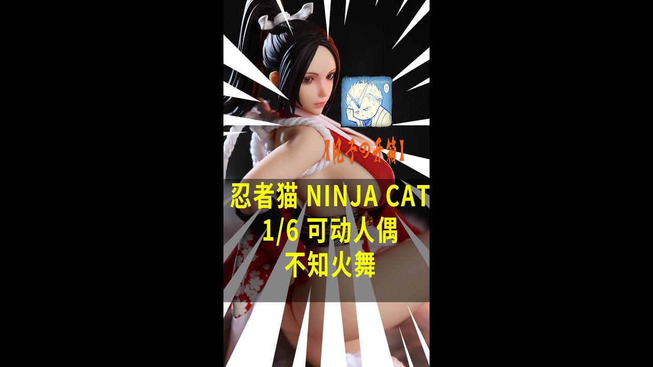 风子の开箱】都是50+岁的阿姨了，我全都要就行了——忍者猫NINJA CAT1/6
