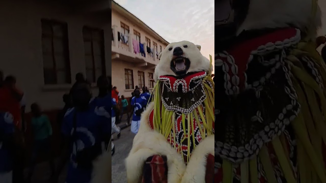 New Year Annual Play Back 2026  , 6 o'clock Pizzly Bear  🐻 💙🤍💙🤍