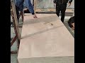 Okoume plywood