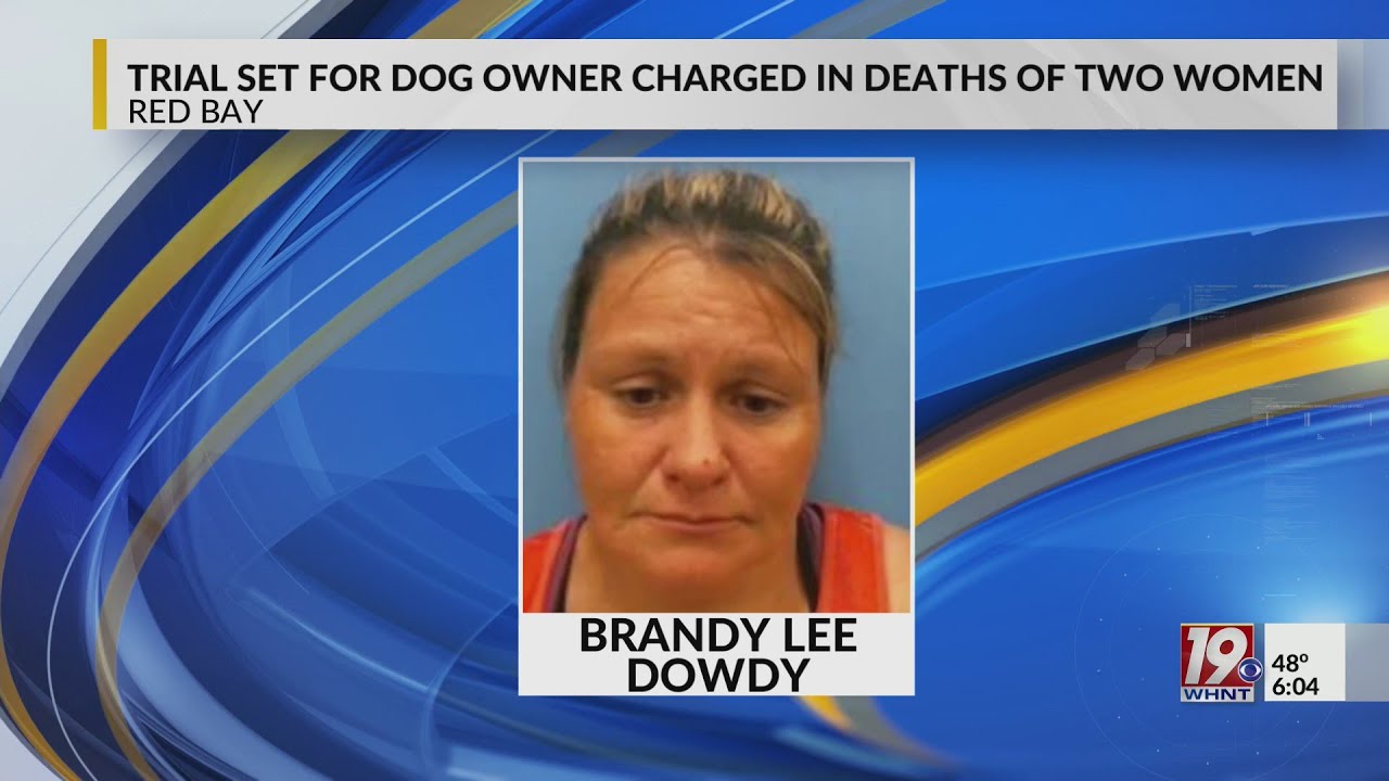 Trail Set for Dog Owner Charged with Manslaughter | March 13, 2023, News 19  at 6 . - YouTube