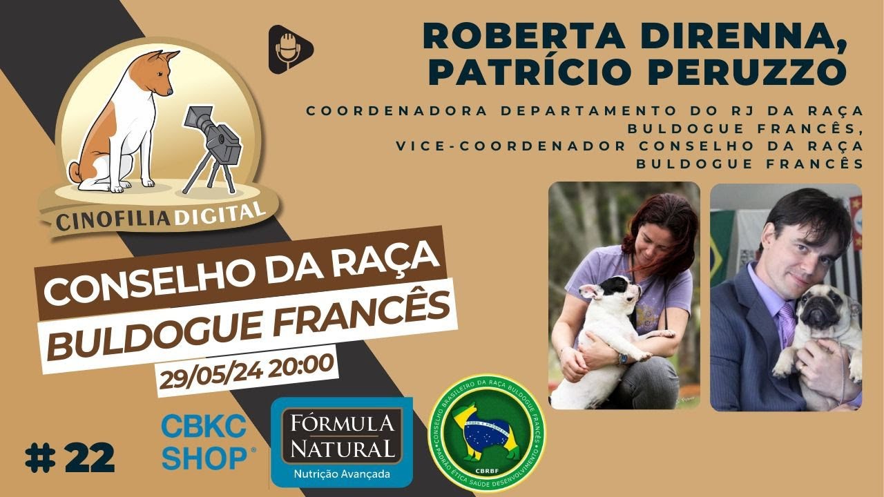 Conselho da raça Buldogue Francês | Podcast Cinofilia Digital #22