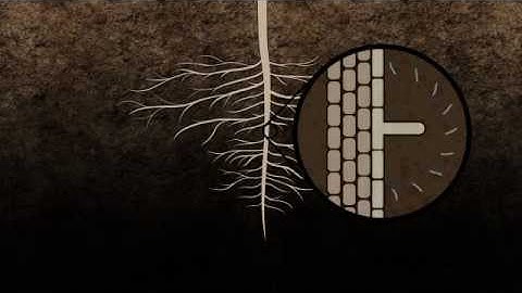 Inoculant Basics | Becker Underwood