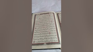 سورة الحشر من آية 1 إلى آية 9 مع ماهر المعيقلي.  46