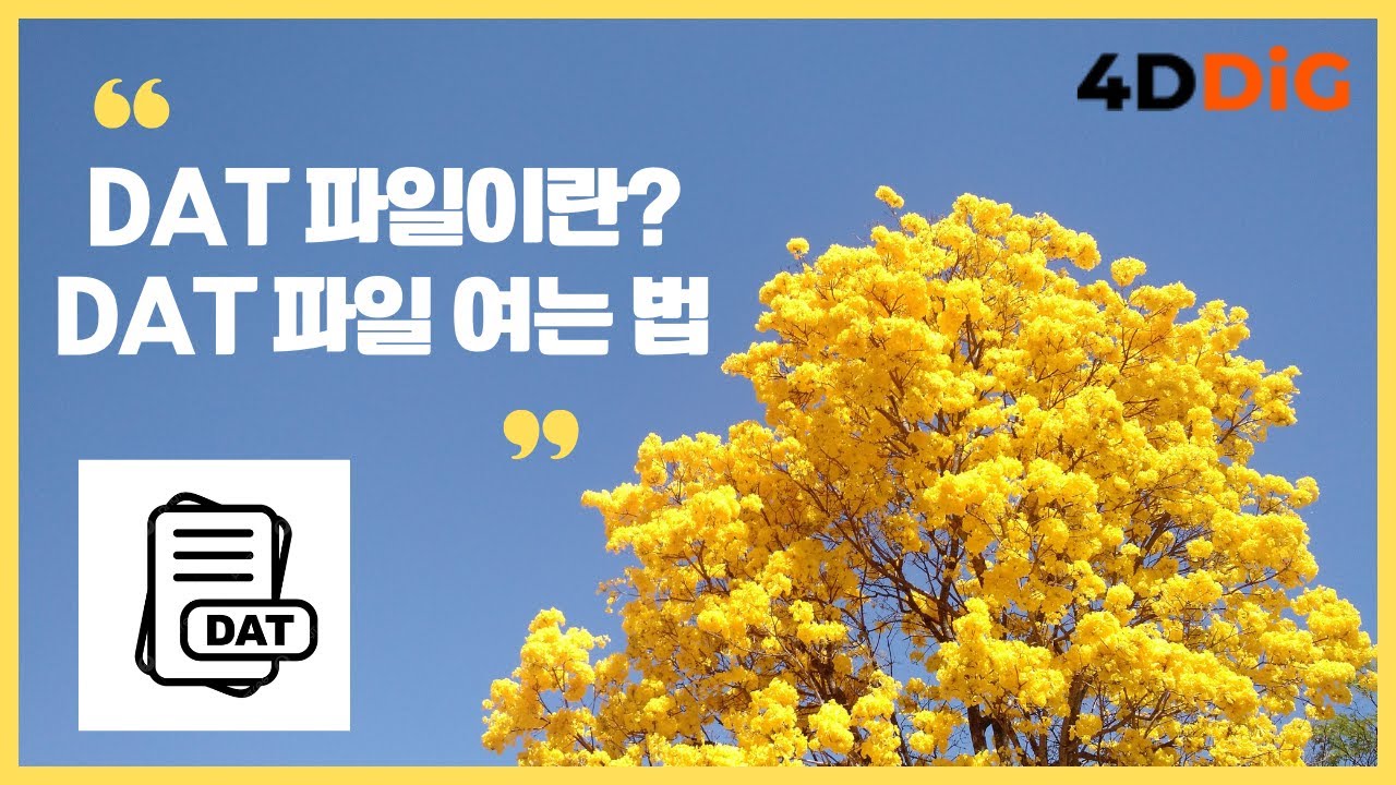 DAT 파일이란? DAT 파일을 여는 법 #dat파일열기 - YouTube