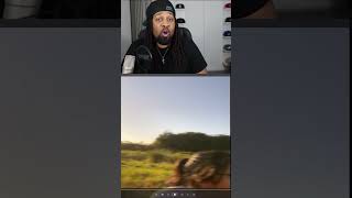 Everyone Who Watched This Footage Realized the Ending Changed Everything