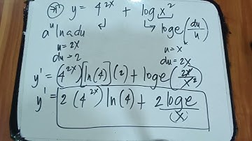 Derivatives of Logarithmic and Exponential Functions - Part 4 [Calculus 1]