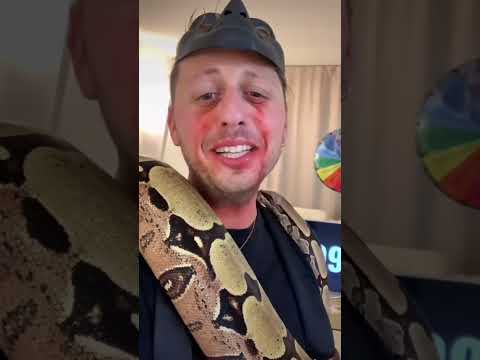 Indosso un serpente