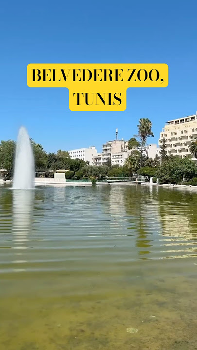 Offbeat Things to Do in Tunis: Belvedere Zoo #travel #hiddengems