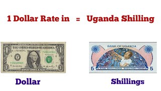 What is the rate of US Dollar in Ugandan Shilling And the rate of one Ugandan shilling in US Dollar