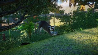 Building a NEW Lemur Exhibit in Planet Zoo