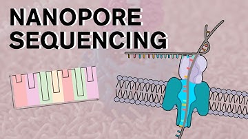 Nanopore Sequencing