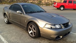2003 Mustang Cobra Terminator One Take
