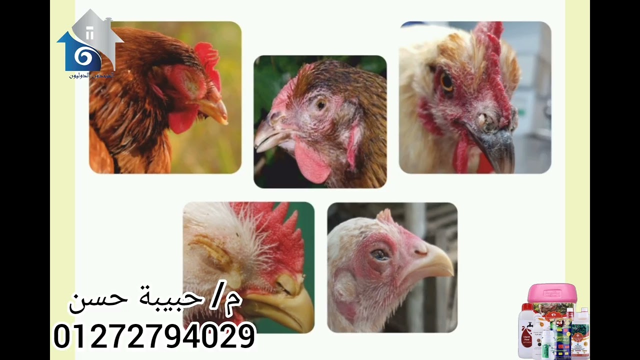 كل حاجة تخص مشكلة ضعف الأوزان‼️👇