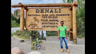 Denali National Park HD | Tips on Bus Tours, Animal Sightings, Hiking, Viewpoints | Caribou | Moose