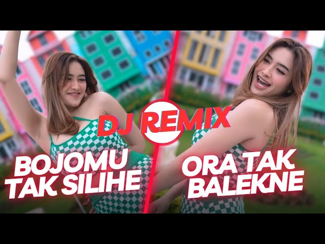 DJ Bojomu Sesok Tak Silihe REMIX - Shepin Misa (Official Music Video ANEKA SAFARI) class=