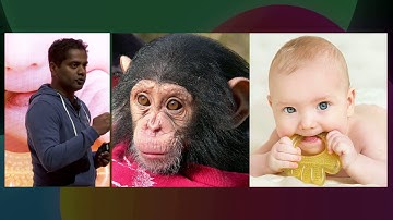 F8 2019: Applying AI to Keep the Facebook Platform Safe