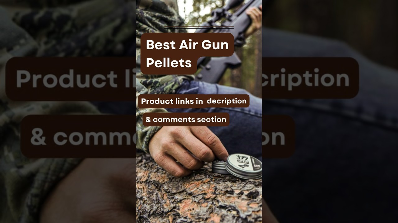 5 Best Air Gun Pellets  