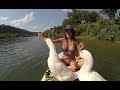 Fun gopro quack feeding  micbergsma