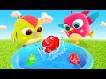 Hop hop construit une piscine  dessins anims ducatifs pour les plus petits  jouets pour bbs