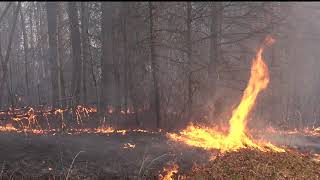 Learning About Burning: An Introduction to Prescribed Fire for NC Landowners