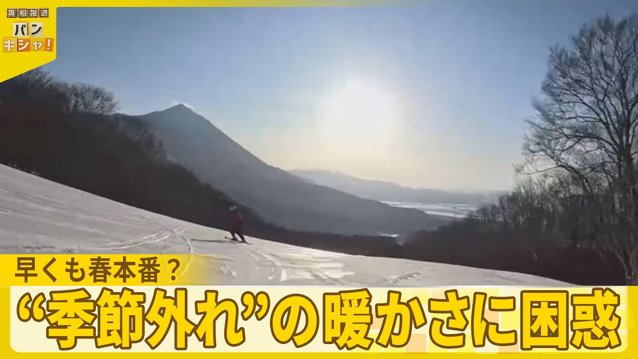【困惑】早くも春本番？　列島異例の暖かさ  2月に20℃超も…“季節外れ” の暖かさに困惑『バンキシャ！』