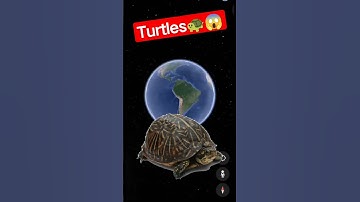 I Found Turtles On Google Earth🐢😱 #shorts #youtubeshorts #shortsfeed #turtles