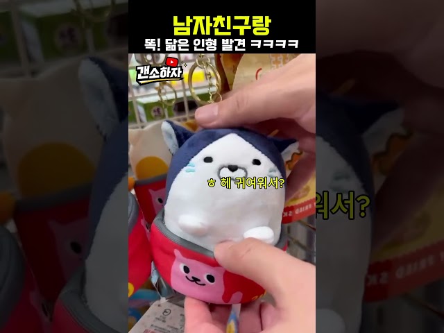 아 그게 닮았다는 거였어? ㅋㅋㅋ
