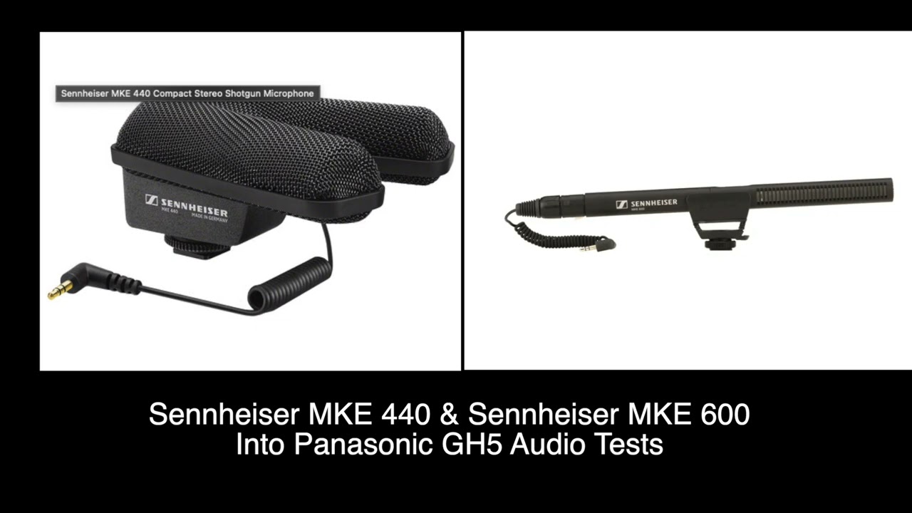 Sennheiser MKE 440 Camera-mount Stereo Shotgun Microphone | Sweetwater