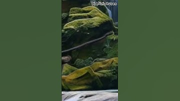 Step Into the Future of Miniature Design with AI 🤖 #AIModels #CreativeTech #ArtInnovation