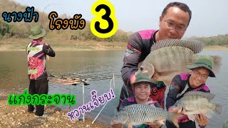 ตกปลาหน้าดินep.51 นางฟ้าโรงพัง3 #นางฟ้าแก่งกระจาน #โรงพังในตำนาน #ฅนชนบทหากินหมาน