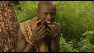 Footage Ethiopia 5. Tribe Ritual Mursi Collecting Honey