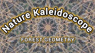 Forest Branch Kaleidoscope 🌿 4K Nature Mandala for Mindful Pause & Inner Balance