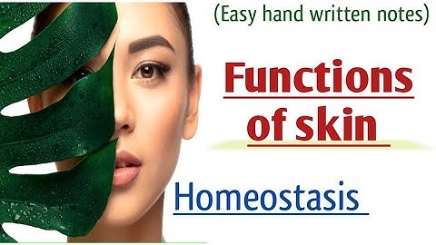 Functions of skin l homeostasis l Urdu lecture l learn with aroosa waheed