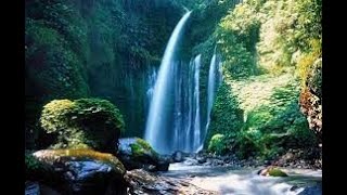 Waterfall Gentle stream sounds in forest, waterfall sounds, flowing sounds, water sounds relaxing