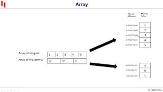Arrays | Lecture 4 - Arrays News