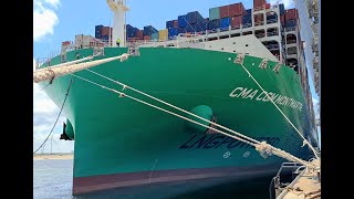 ShipSpotting CMA CGM Montmartre Unmooring (Gas Powered)