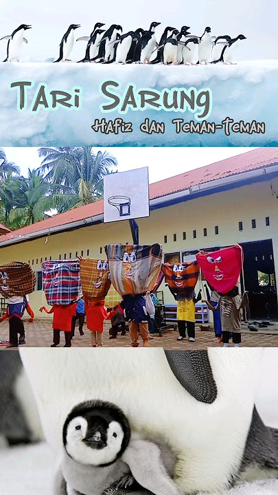 Tari Sarung Senam Pinguin Hafiz dan Teman-teman SDIT  #shorts #trending
