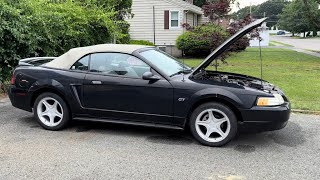 Just picked up a bone stock 2000 GT convertible for $1K!