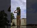 Now Watch Me рџ ЉрџЏ Tiktok Reels Trend Viral Fyp Foryou Dance Trendingshorts Shorts Trending Now Watch Me рџ ЉрџЏ Tiktok Reels Trend Viral Fyp Foryou Dance Trendingshorts Shorts Trending