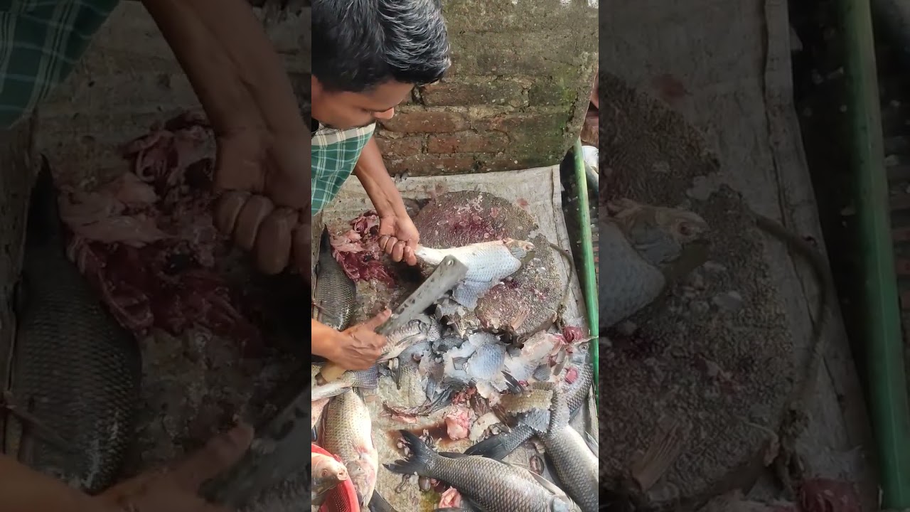 how to clean rohu fish skills in fish expert। rohu fish boneless cutting।
