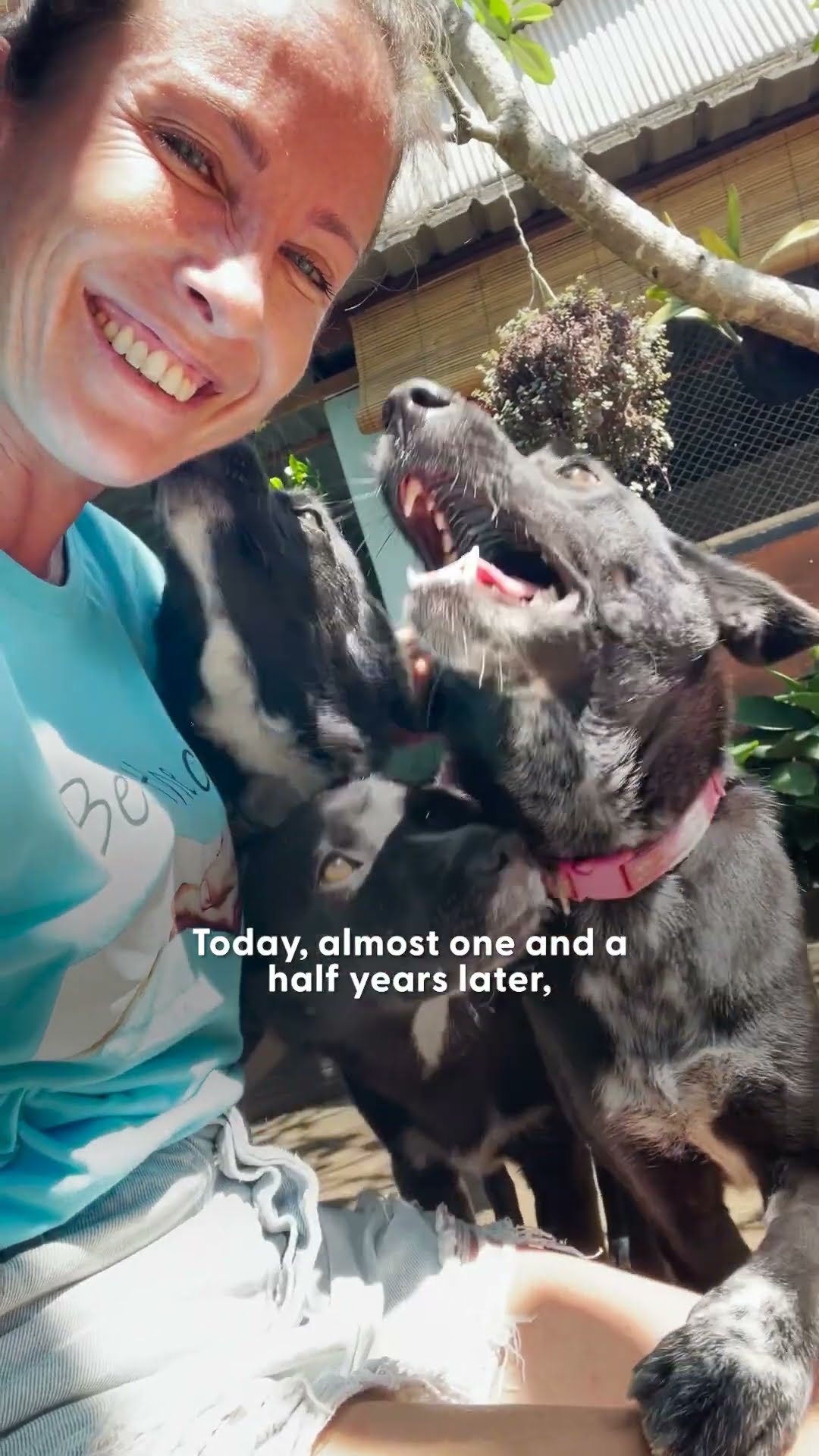 Woman Breaks Down Rescuing Puppies | The Dodo